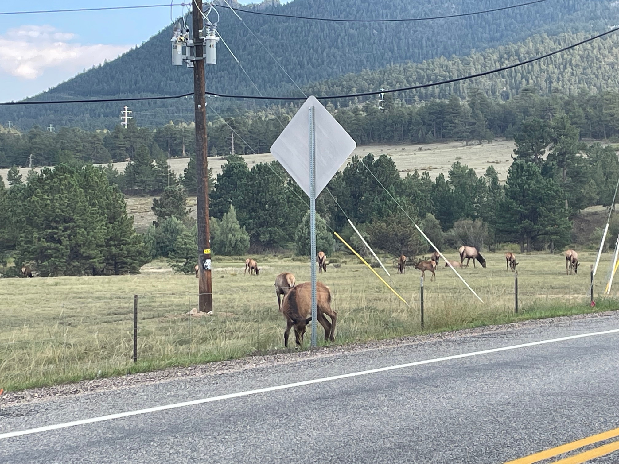 77863652468__E2FE4EDF-7F01-48D8-AEAA-BDBDAB67E96C